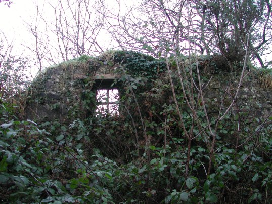 Remains of Biddy Early's home, Feakle, Co. Clare